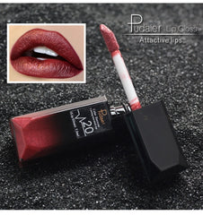 WATERPROOF LONG LASTING MATTE LIP GLOSS